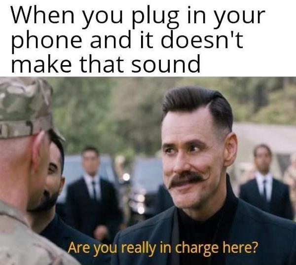Mind-LESS Memes Best Stupid Funny Logic Photo Caption 2024 New Picture