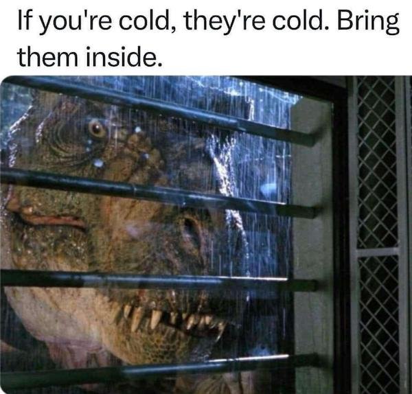 Meme Less Mind Mind-LESS Memes Best Stupid Funny Logic Photo Caption 2024 New Picture