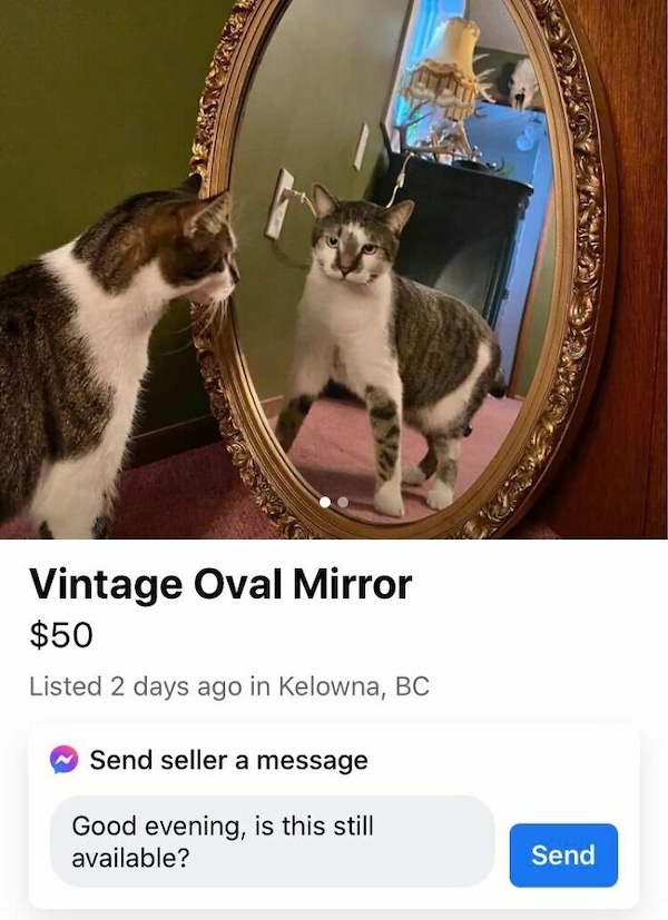 Well, that's one way to sell a mirror, I suppose