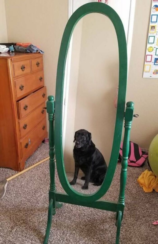 Well, that's one way to sell a mirror, I suppose