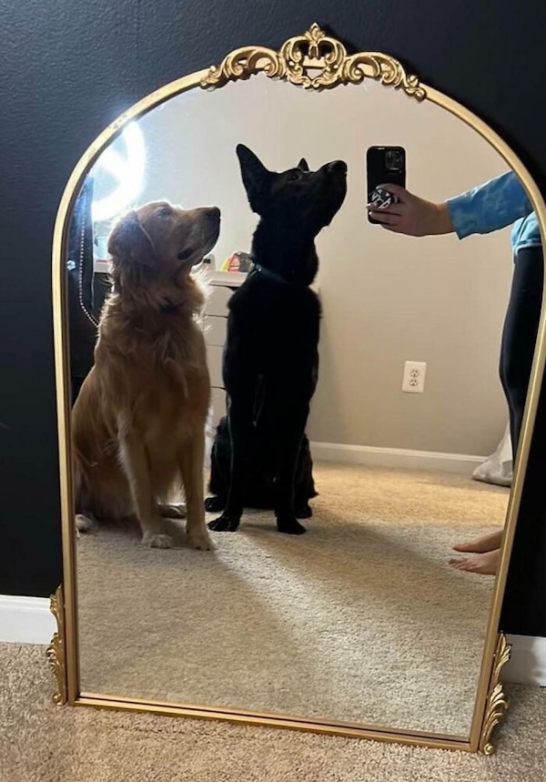 Well, that's one way to sell a mirror, I suppose