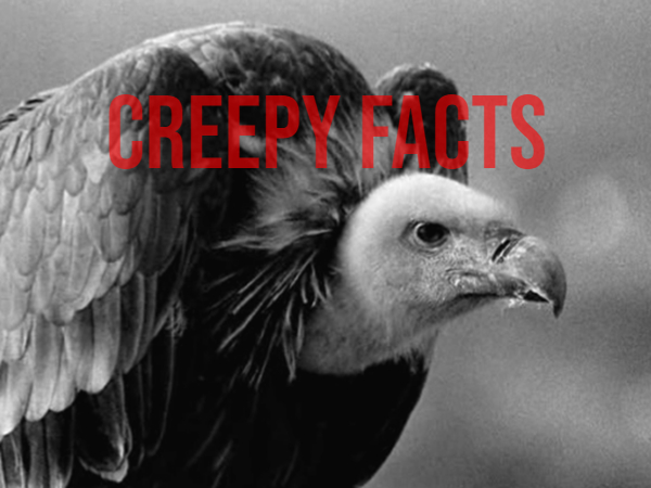Creepy Facts That Will Chill You to the Bone