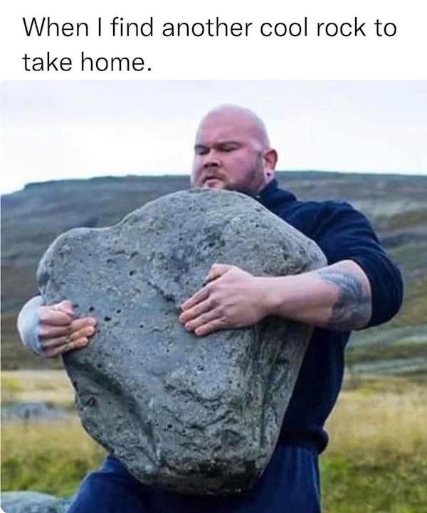 Mind-LESS Memes Best Tuesday Sucks Funny Pick Me Up Photo pic Captions