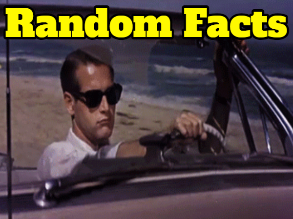 Random Facts Make You Smarter... Right?
