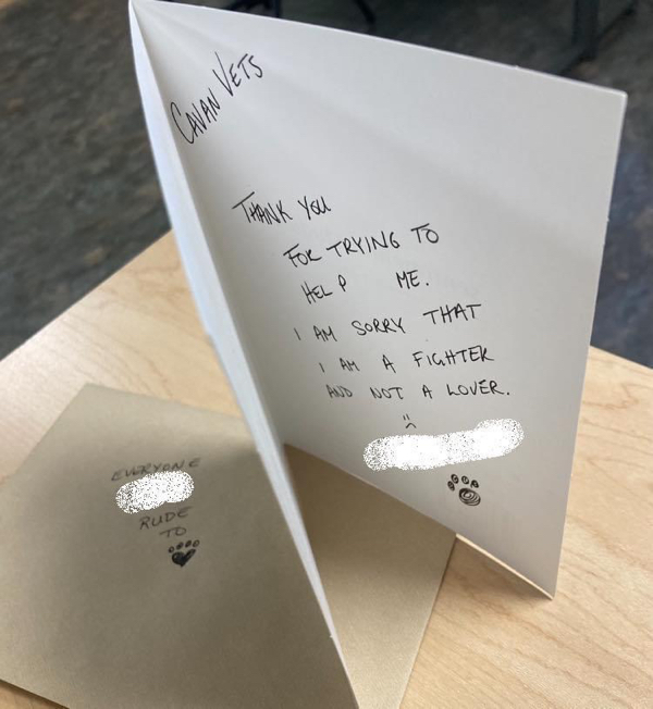 I'm sorry, but you gotta see these hilarious apology notes