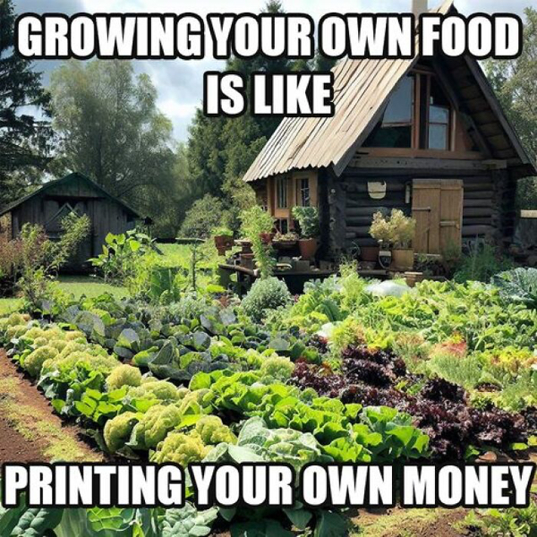 Freshly planted memes for all you gardeners out there