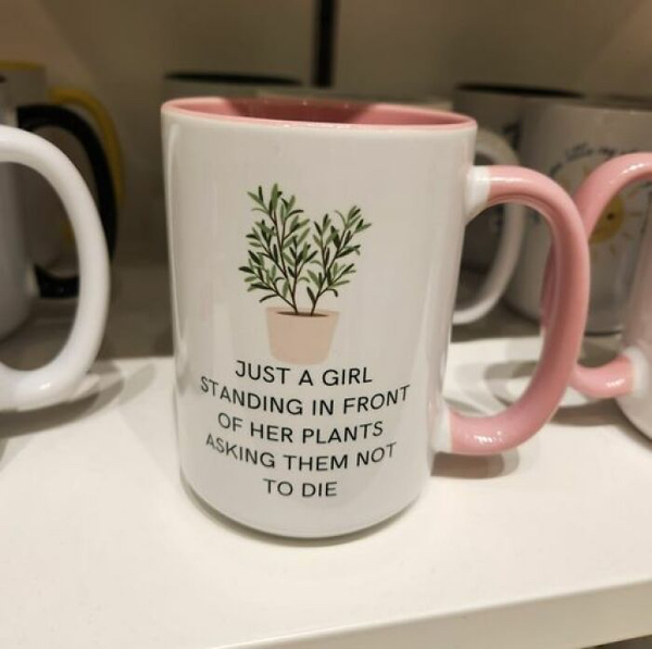 Freshly planted memes for all you gardeners out there