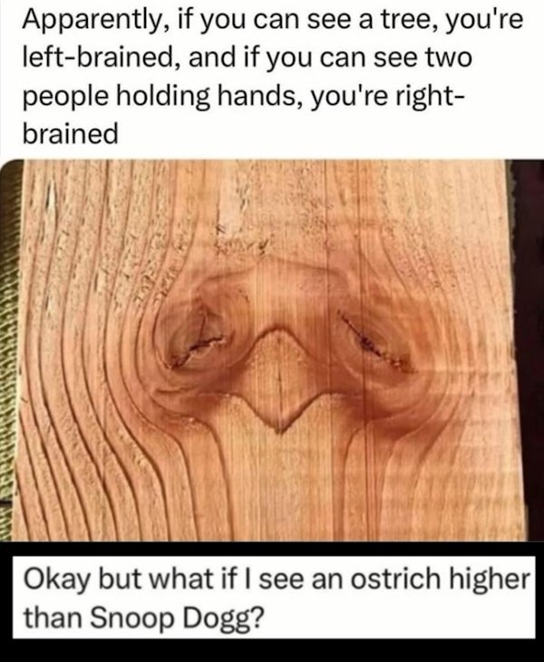 Brain Less Meme Mind-LESS Meme Best Stupid Funny Logic Photo Captions 2024 New Picture