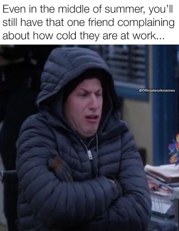 SPOT ON memes Funny Stupid Ideas Photo Captions of Dumb People Thought