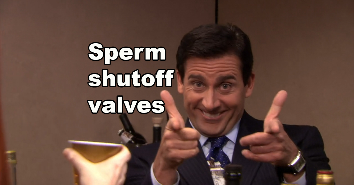 If people could create a new body part, what would they choose? (20 GIFs)