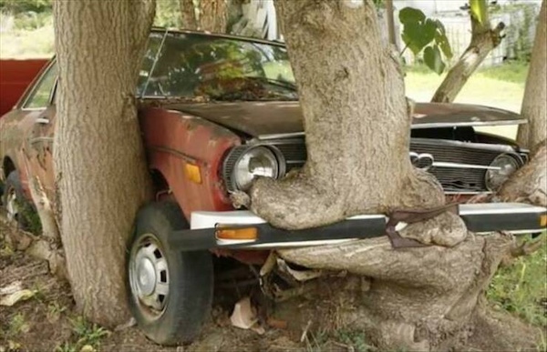 Situations that got out of hand in a huge hurry