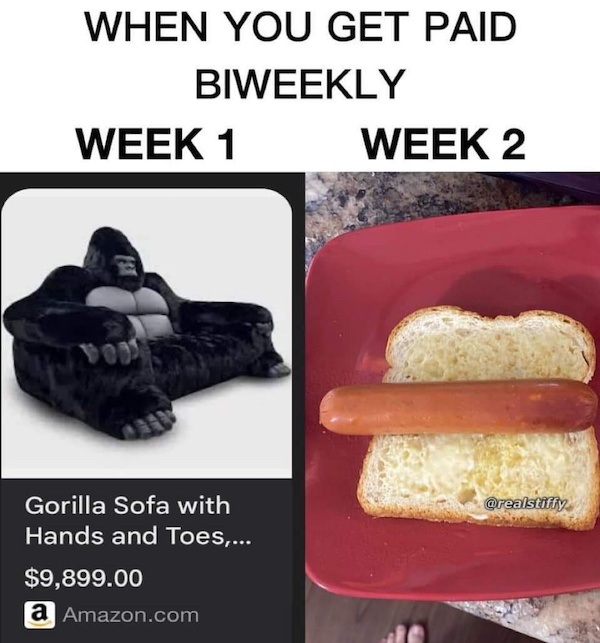 Mind-LESS Memes for Stupid Funny Logic Photo Caption 2024 New Picture
