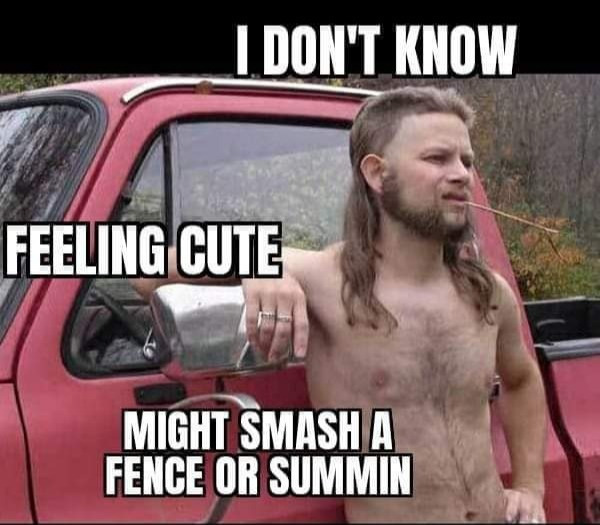 REDNECK fried fun Memes and GIFs with DIY Ideas