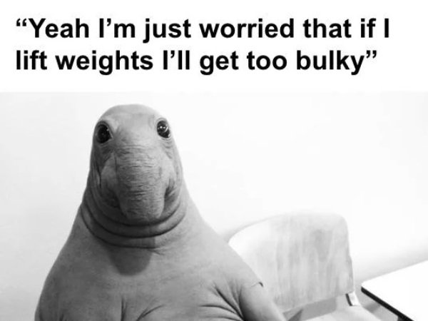 A Steaming Pile of Dank Memes (30 Photos)