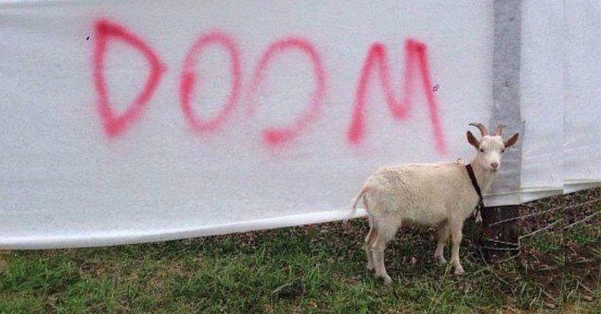 Daily Afternoon Randomness | Random Memes, Photos & Gifs - theCHIVE