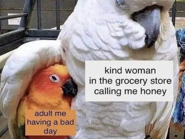 Your Weekly Dose of Wholesome Funnies (26 Photos)
