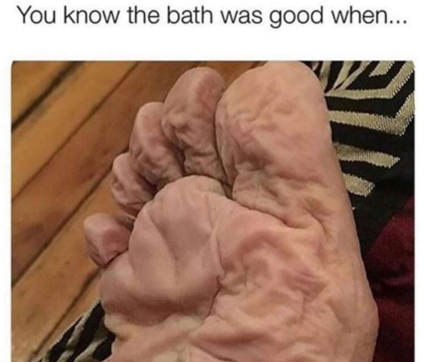 Disgusting Memes for Disgusting People