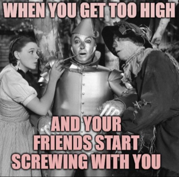 SPOT ON Memes Funny Stupid Ideas Photo Captions of Dumb People Thought