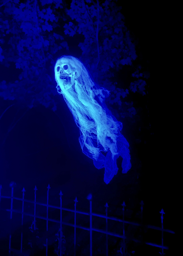 Ghostly Gatherings & Ghastly Delights: Halloween Is Coming!