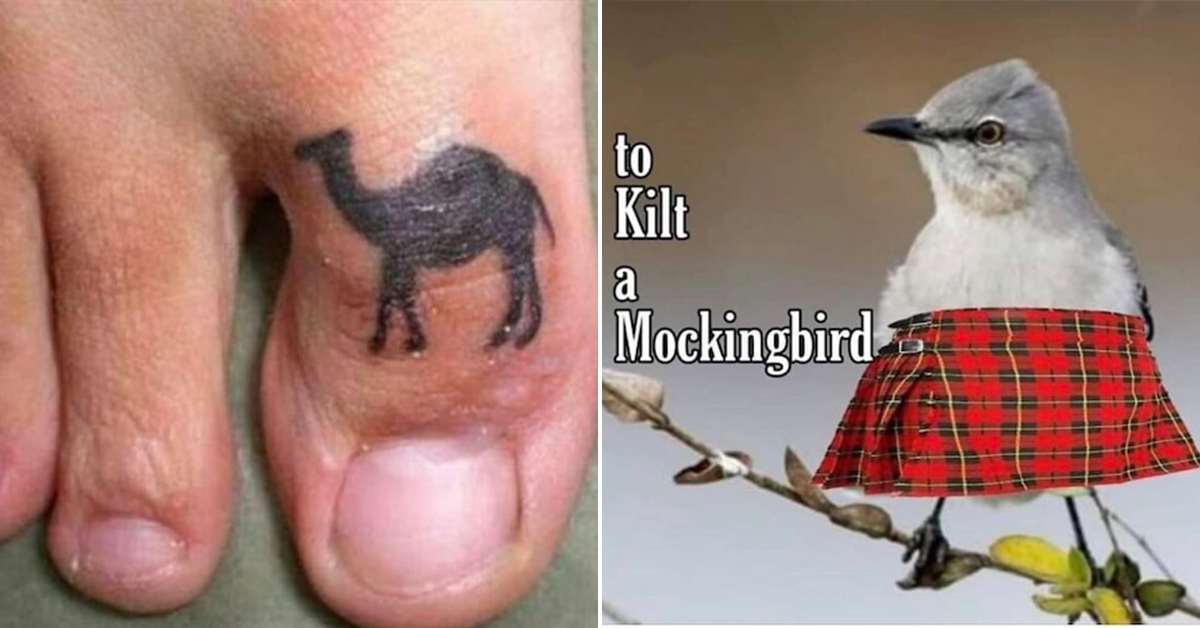 Check out this post to have a PUNDERFUL time (35 Photos)