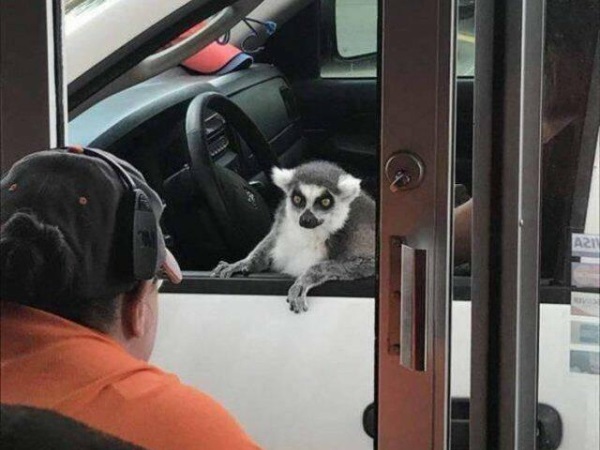 Hmmm… Why? Just Why? (30 Photos)