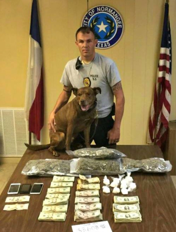 Law Enforcement Dogs Who Did a GOOD JOB!