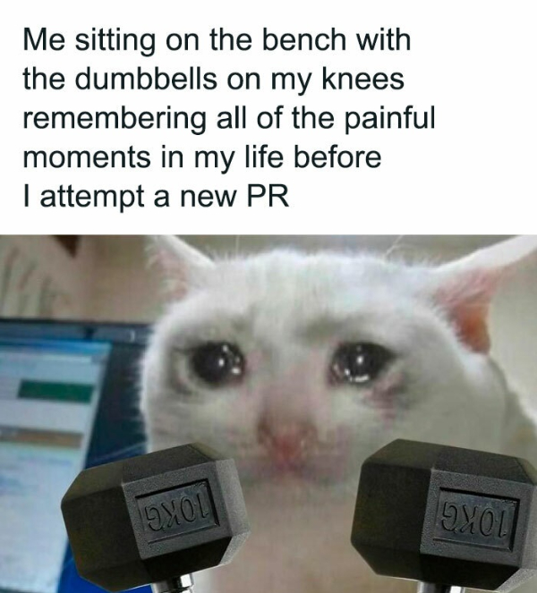 Gym Memes Are a Workout in Laughter