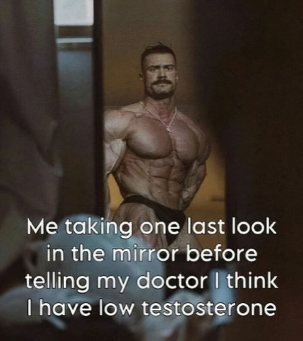 Gym Memes Are a Workout in Laughter