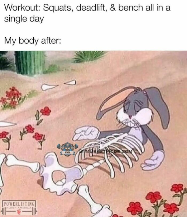 Gym Memes Are a Workout in Laughter