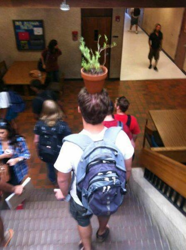 College years summed up a glorious collection of images