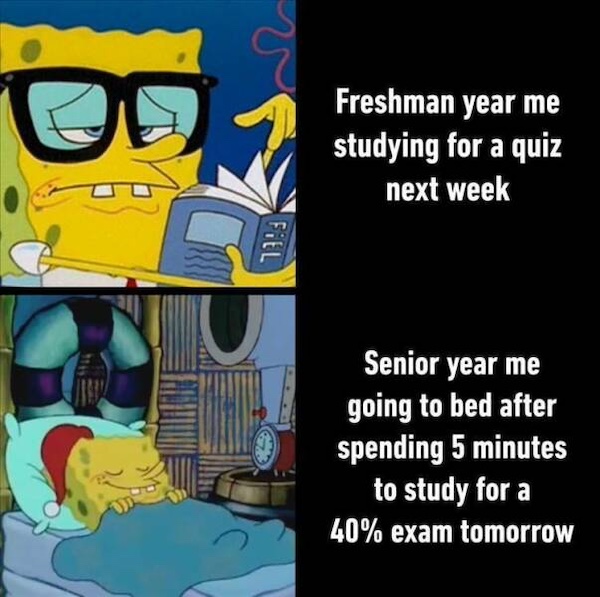 College years summed up a glorious collection of images