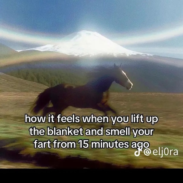 Silly Memes for Lazy Saturday Scrolling (37 Photos)