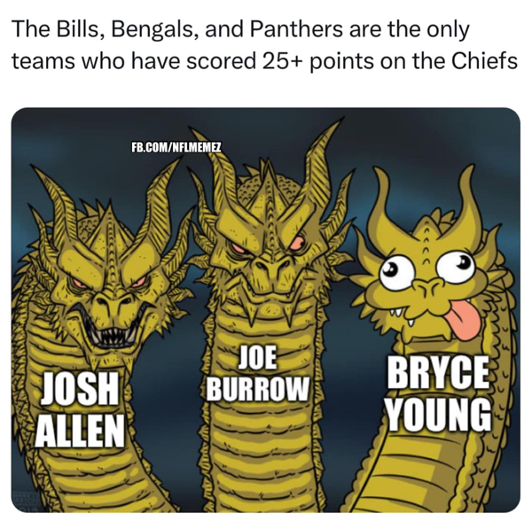 nfl-memes-week-12-38.jpg?attachment_cache_bust=4847266&quality=85&strip=info&w=600