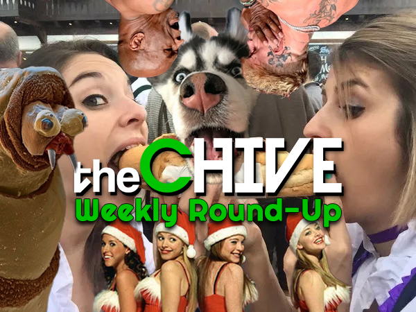 ICYMI: theCHIVE Weekly Round-Up!