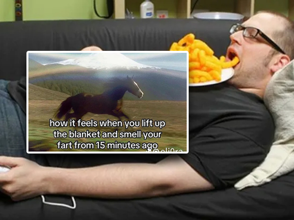 Silly Memes for Lazy Saturday Scrolling (37 Photos)