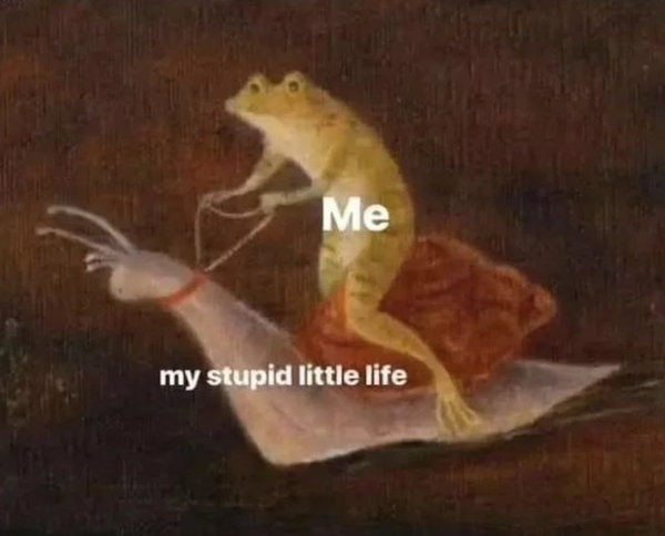 These frog memes are ribbeting...get it?
