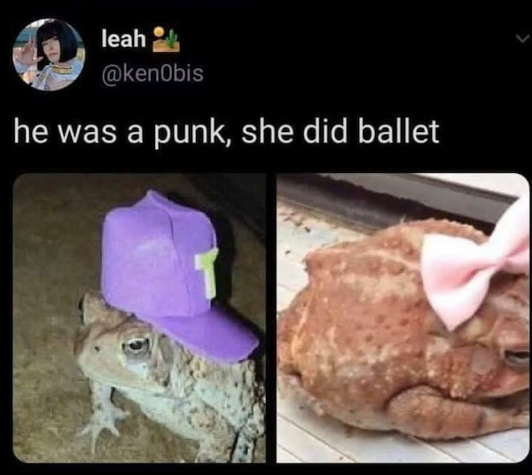 These frog memes are ribbeting...get it?