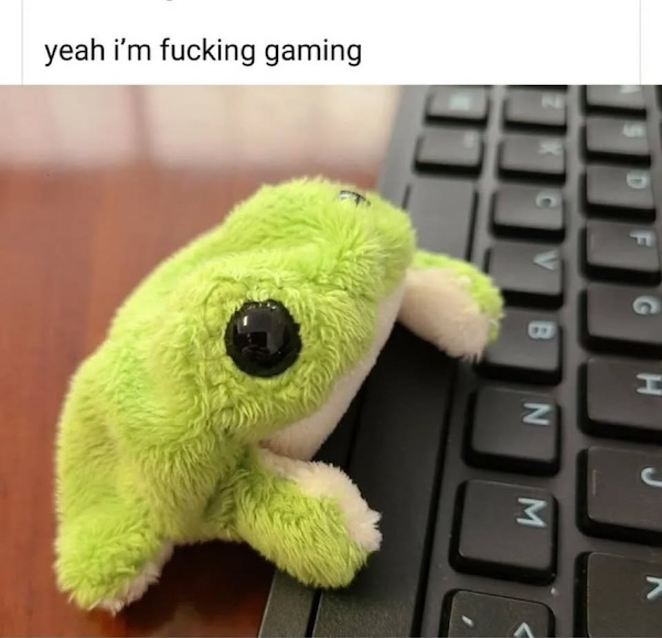 These frog memes are ribbeting...get it?