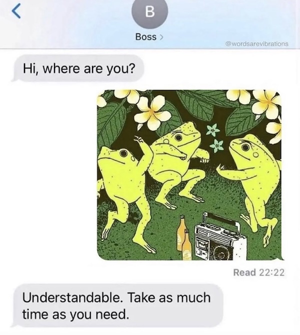 These frog memes are ribbeting...get it?