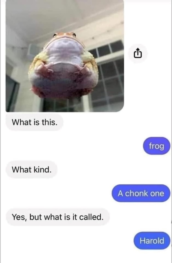 These frog memes are ribbeting...get it?