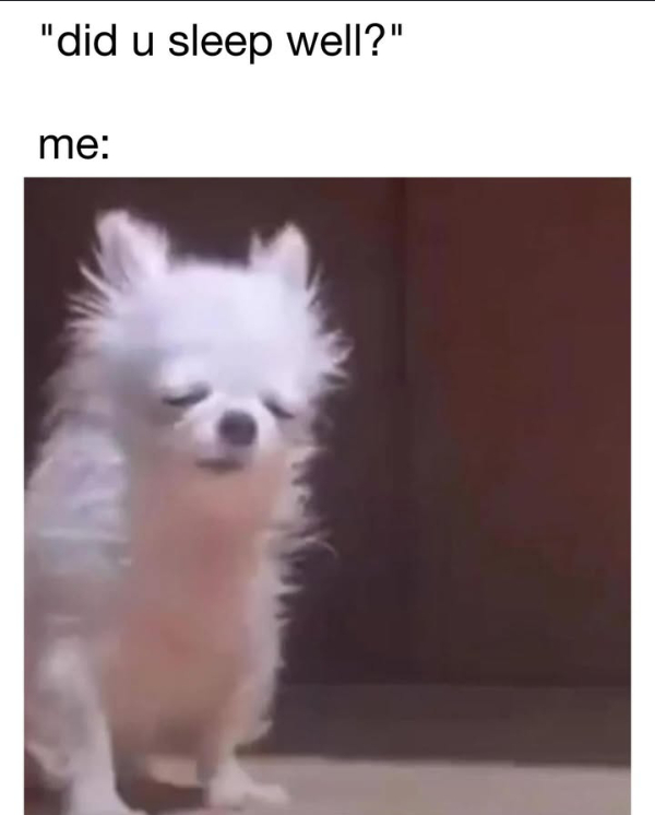Here! Rest Up With Some Dank Memes