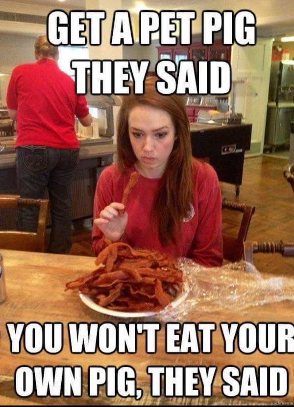 BEER-a-FULL_memes-01_17_25-55_9.jpeg?attachment_cache_bust=4886529&quality=85&strip=info&w=600