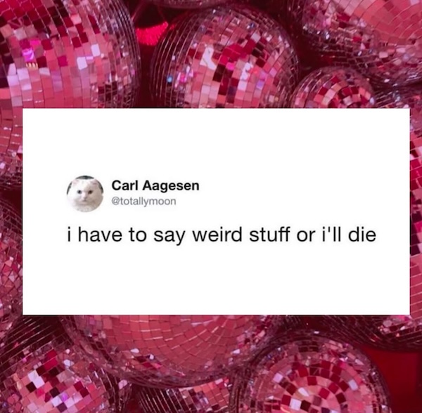 Silly Stupid Memes for Snoozy Saturday Sloths (37 Photos)