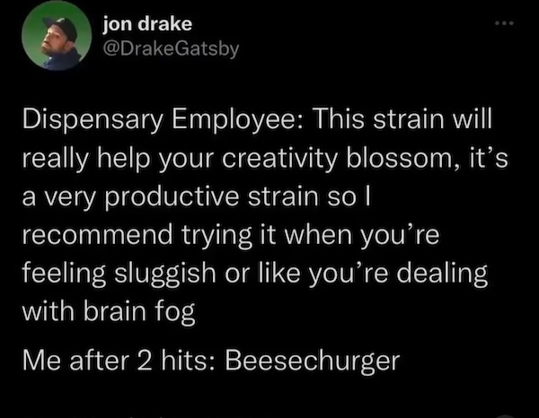 Silly Stupid Memes for Snoozy Saturday Sloths (26 Photos)