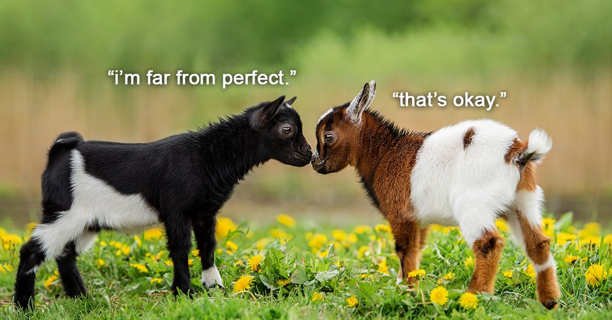 You Got This! Powerful Positivity for Big Friday Feels (30 Photos)