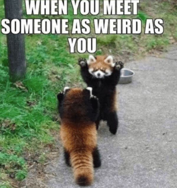 Your Weekly Wholesome, Happy, Heartwarming Post