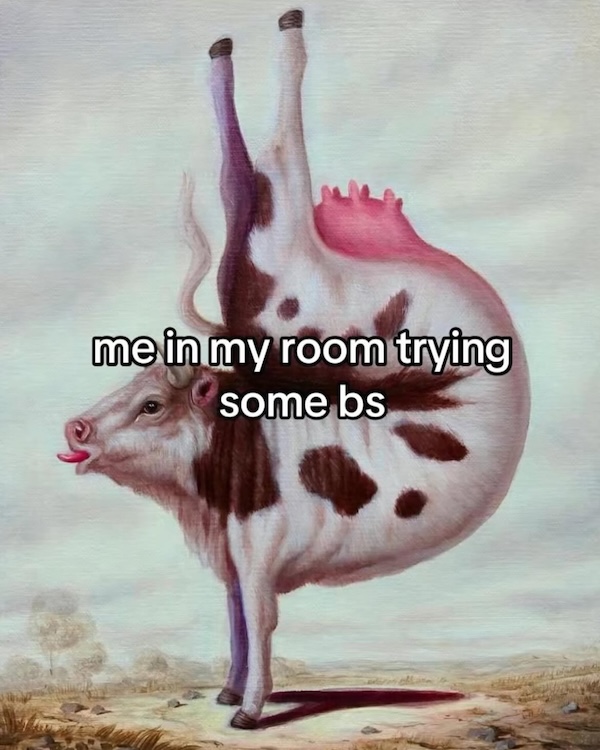 Silly Stupid Memes for Snoozy Saturday Sloths (37 Photos)