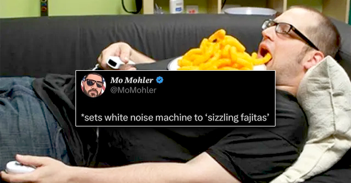 Silly Stupid Memes for Snoozy Saturday Sloths (37 Photos)