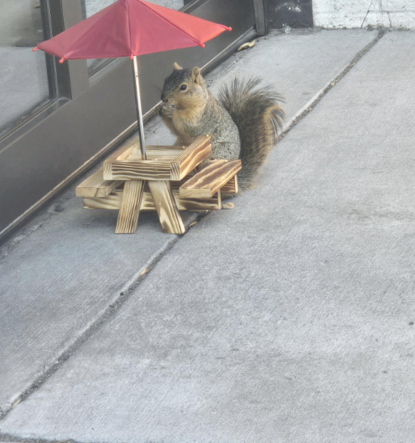 Your Weekly Dose of Awesome, Sir