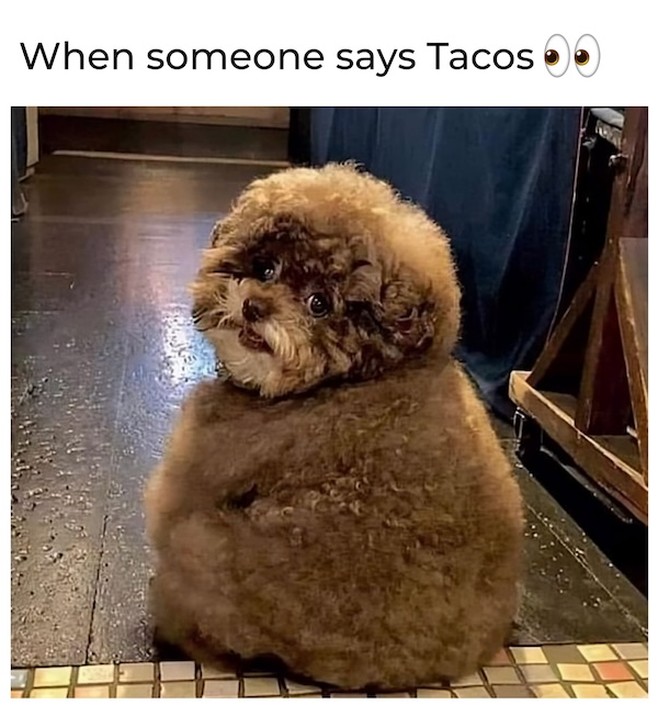 Food memes to chew on while you're waiting for dinner